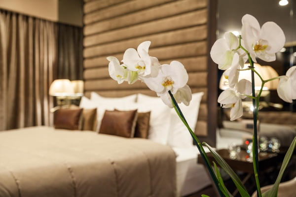 SAINT TEN Hotel (Belgrad)